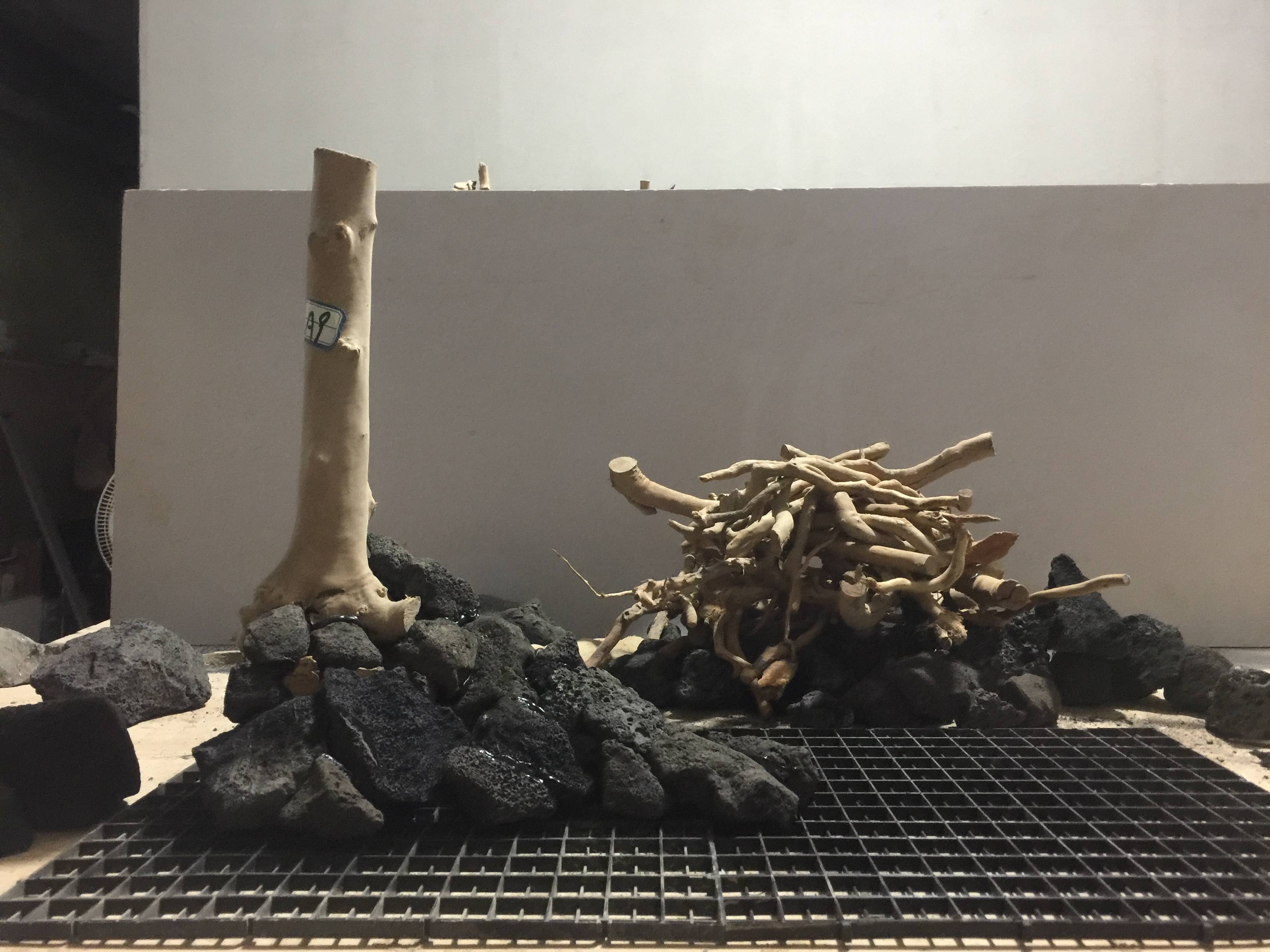 草木雕零，預垣敗瓦。臉部變化會觀察打生肖,警惕虚假宣传落实,综合解答解释落实